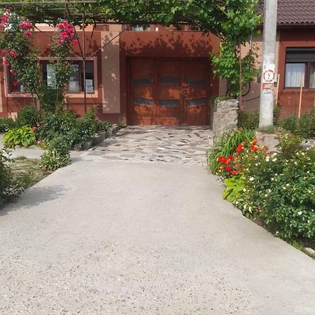 Casa Elena Eselnita 호텔 외부 사진