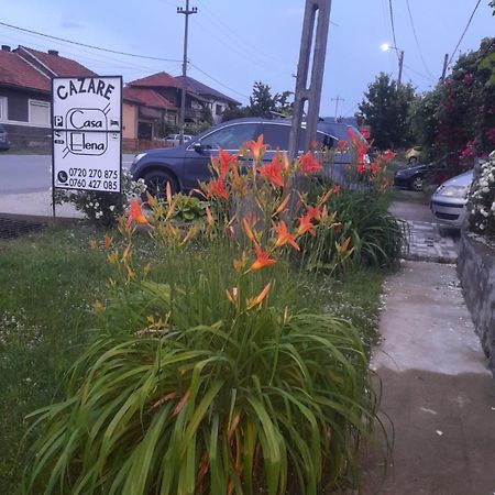 Casa Elena Eselnita 호텔 외부 사진