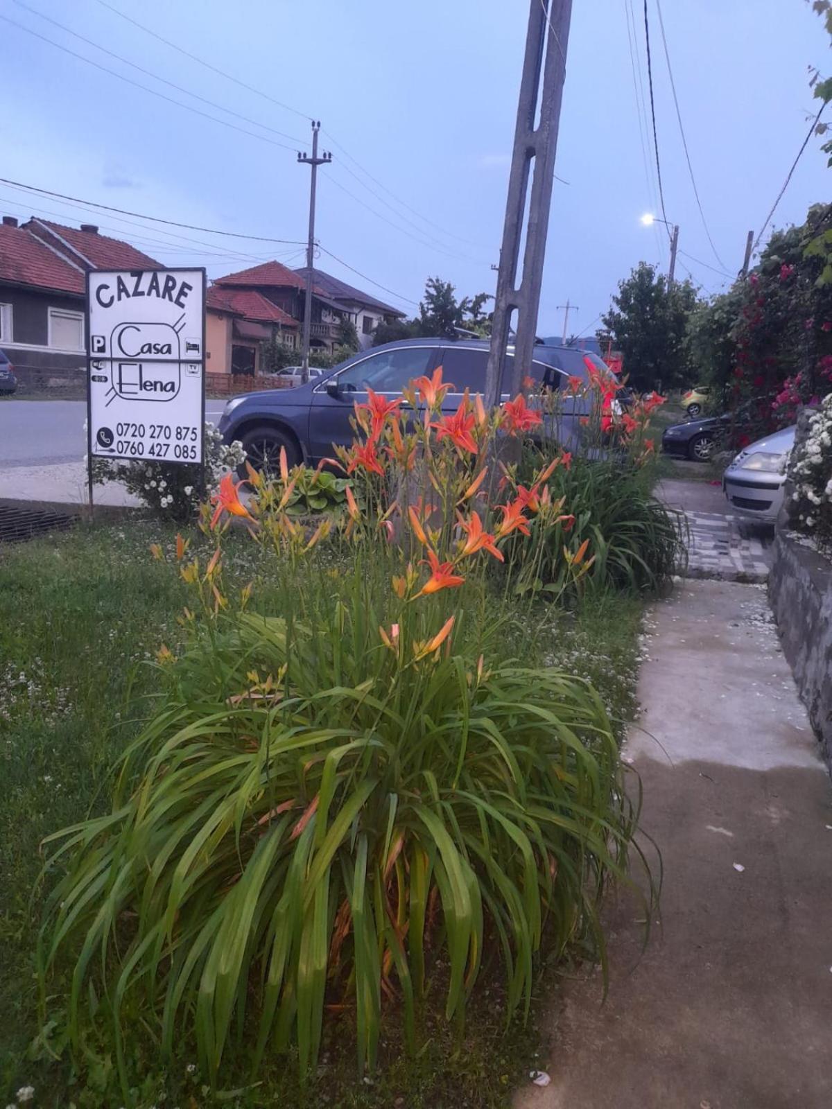 Casa Elena Eselnita 호텔 외부 사진