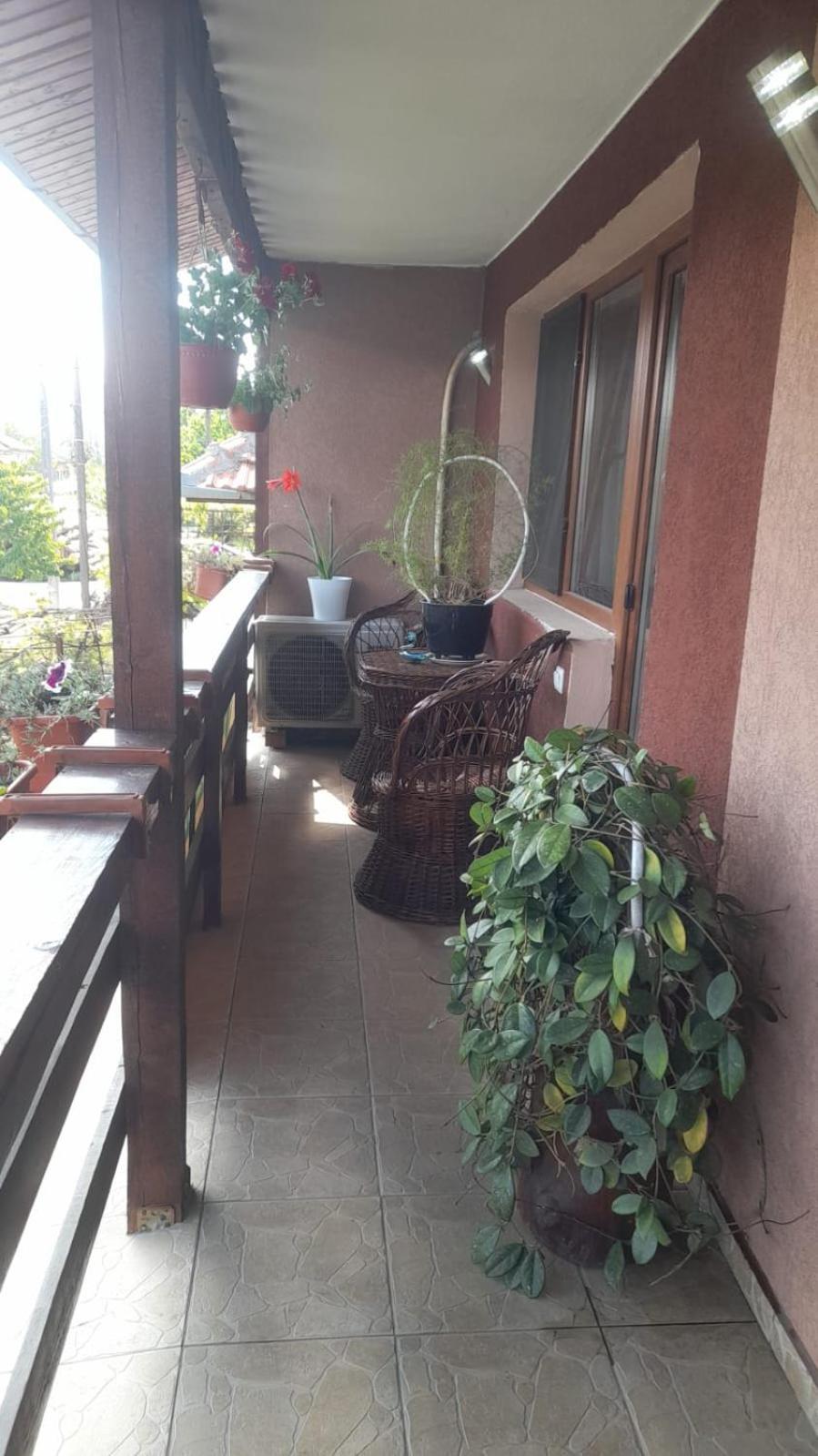 Casa Elena Eselnita 호텔 외부 사진