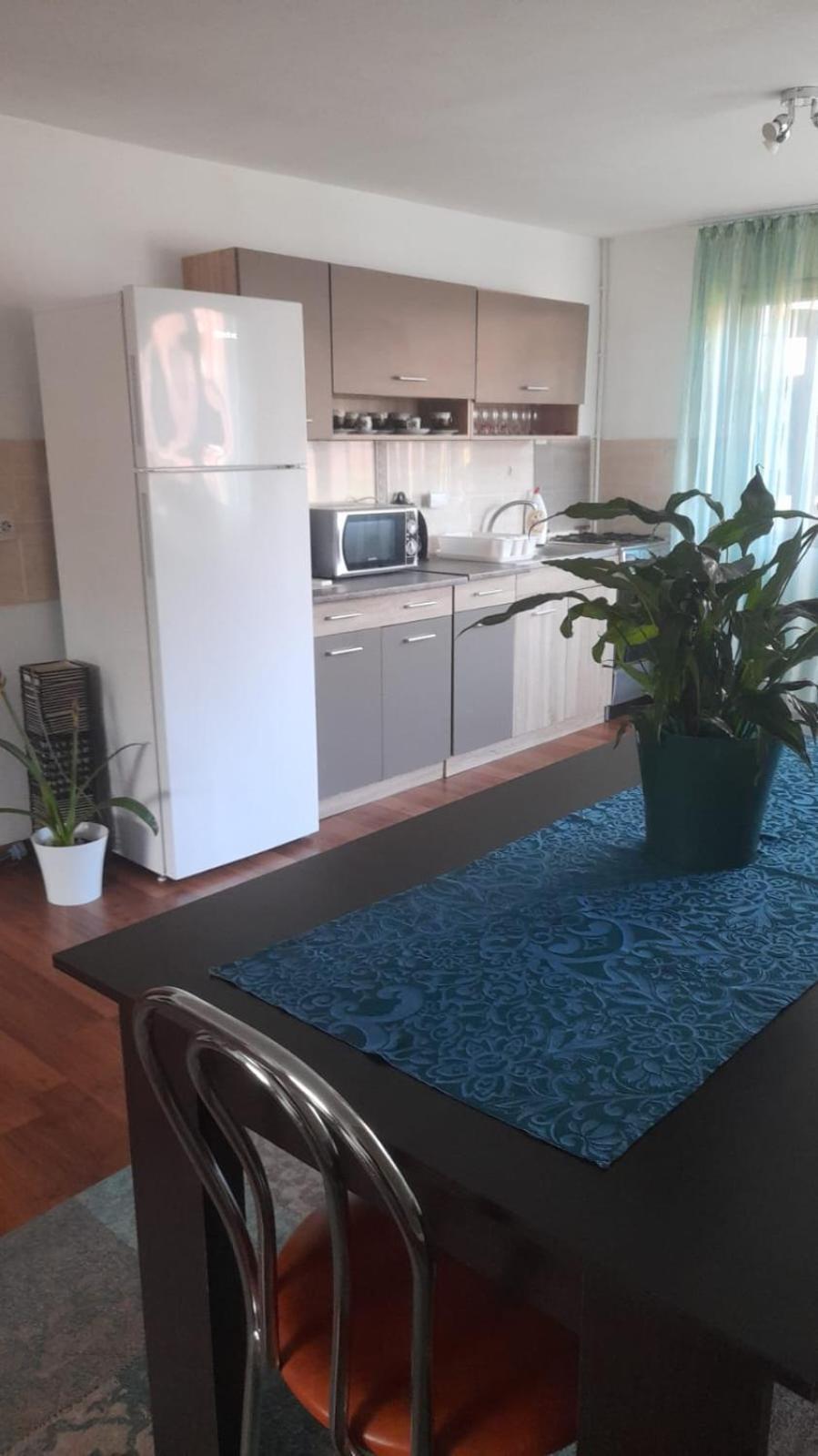 Casa Elena Eselnita 호텔 외부 사진