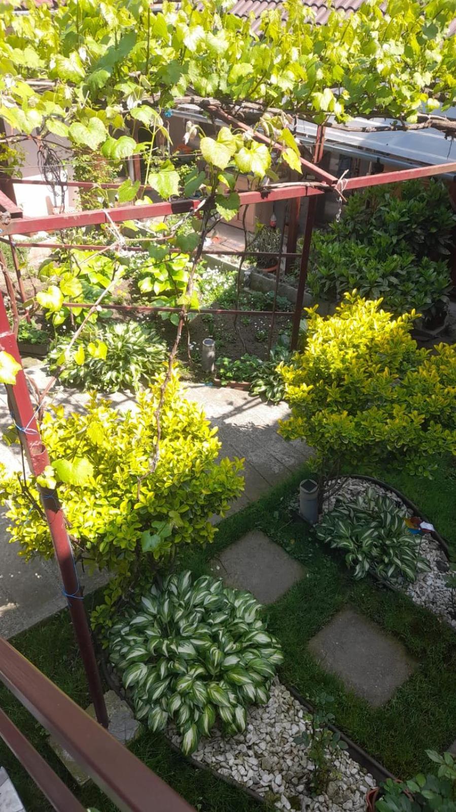 Casa Elena Eselnita 호텔 외부 사진