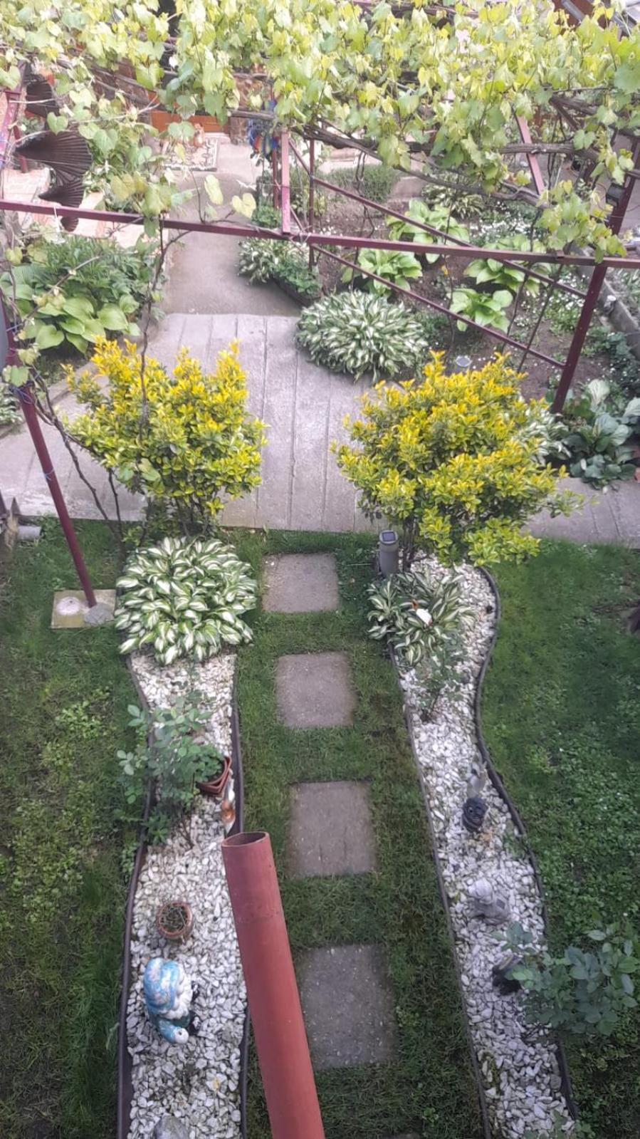 Casa Elena Eselnita 호텔 외부 사진